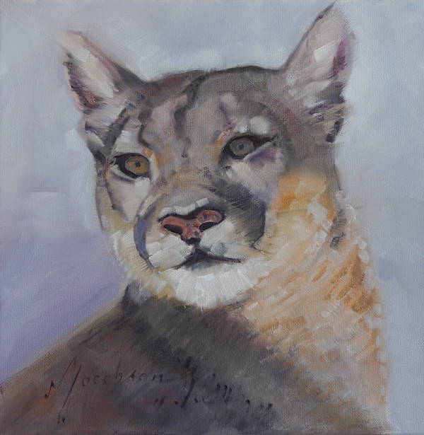 Cougar by Matthew Jacobson