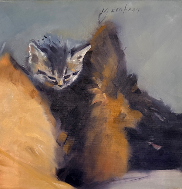 Kitten Sleeping on Dog by Matthew Jacobson