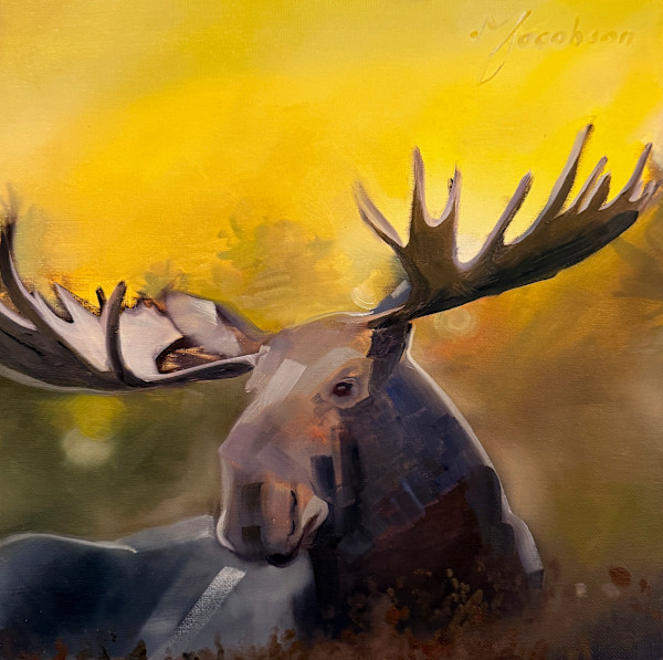 Moose by Matthew Jacobson