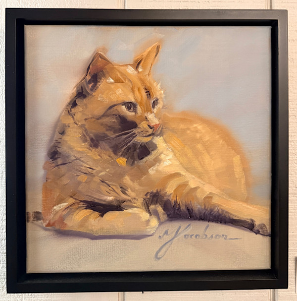 Orange Cat 12x12 by Matthew Jacobson
