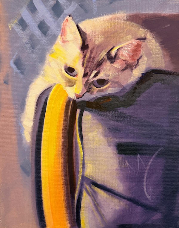 Cat 8x10 by Matthew Jacobson