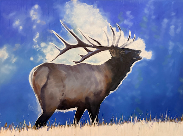 Elk on Blue by Matthew Jacobson