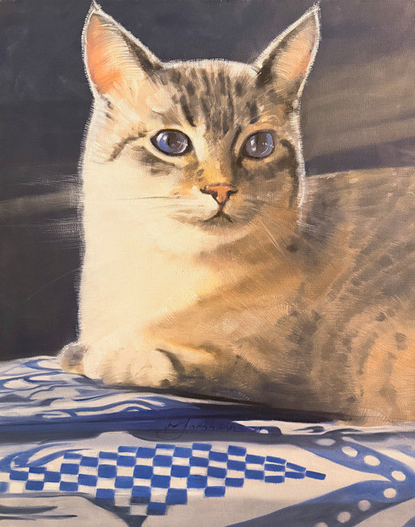 Gray Cat by Matthew Jacobson