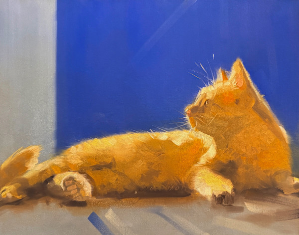 Orange Cat on Blue by Matthew Jacobson