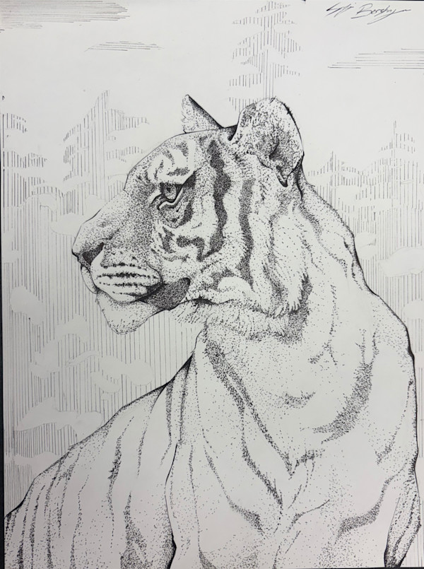 Tiger by Sof Berlanga