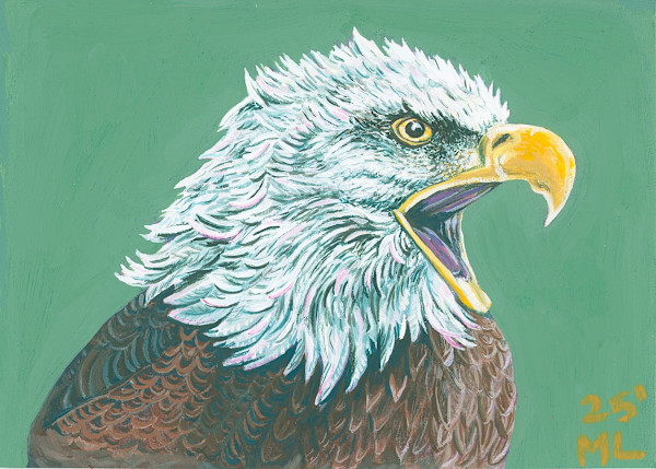 Eagle by Marlee Louise Laman, Image 1.