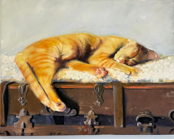 Sleeping Cat by Matthew Jacobson