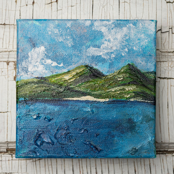 USVI 5 by Dacia Livingston Parker