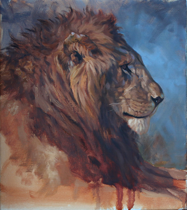 Lion Study by Julia Rogers