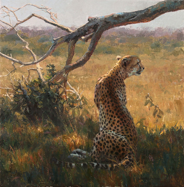 A Spot of Shade by Julia Rogers