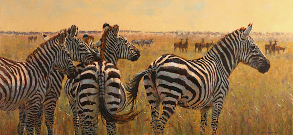 Africa's Rising Sun by Julia Rogers