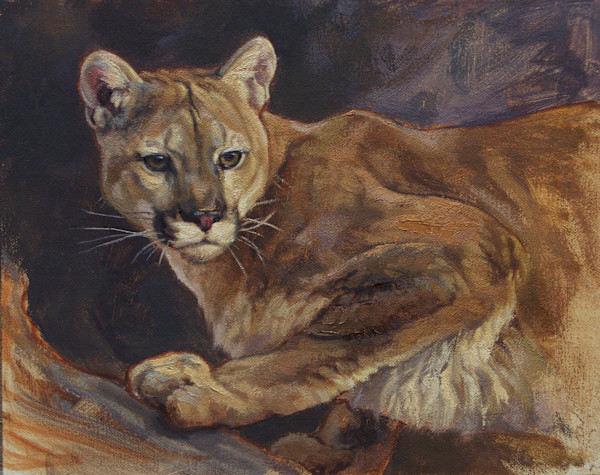 Crouching Cougar by Julia Rogers