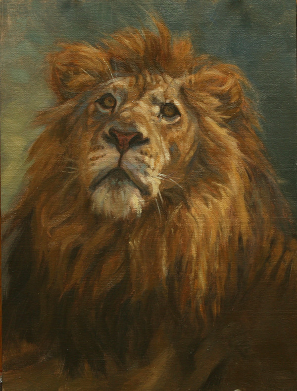 Curious Cat by Julia Rogers