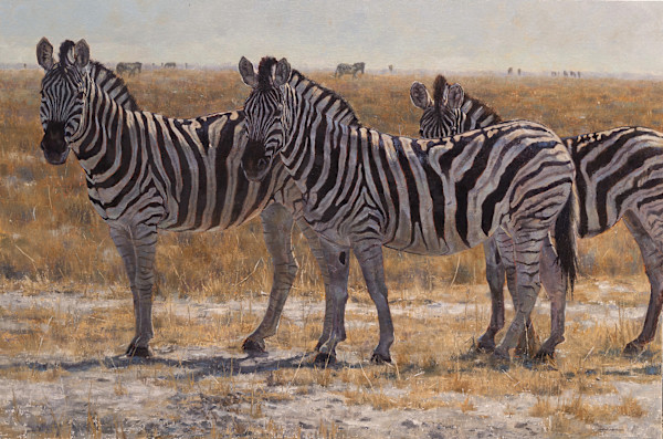 Dry Season by Julia Rogers