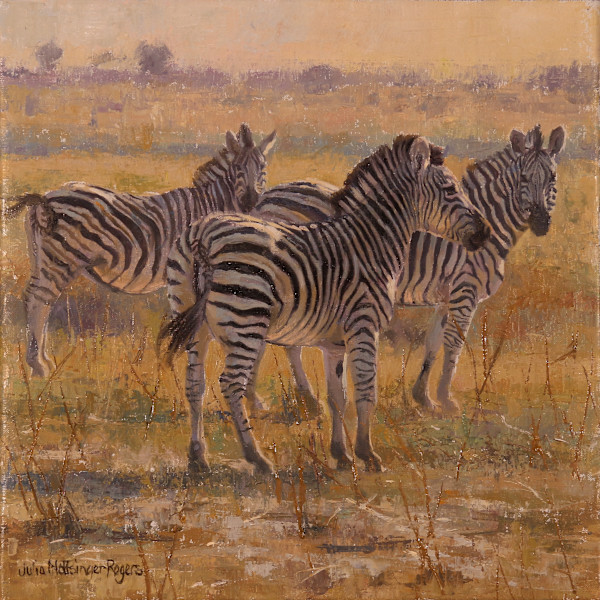Dry, Dusty and Dazzling by Julia Rogers