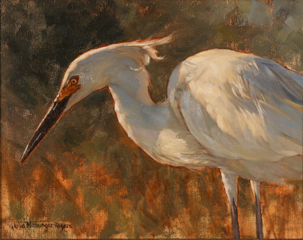 Great Egret by Julia Rogers