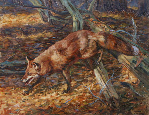 Out Foxed by Julia Rogers