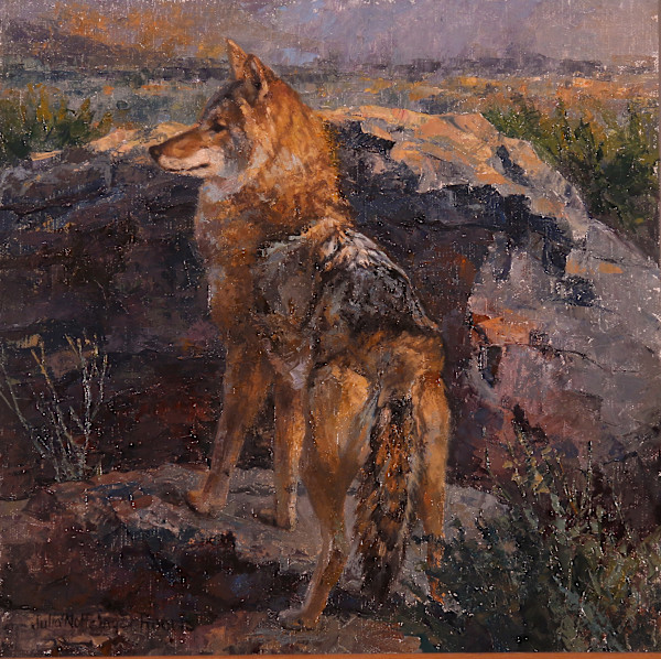 Morning Prowl by Julia Rogers