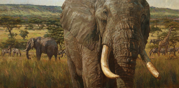 Elephant in the Room by Julia Rogers