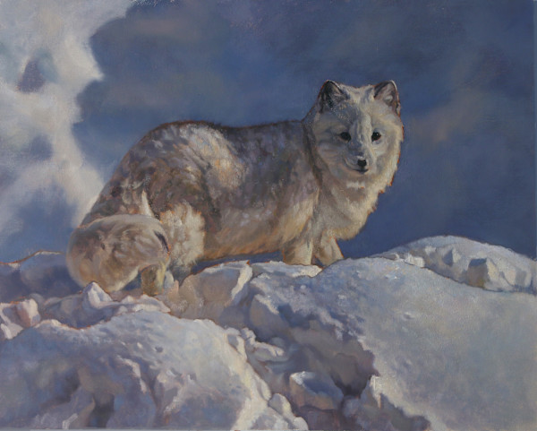 Arctic Fox by Julia Rogers