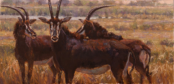 Sable Trio by Julia Rogers