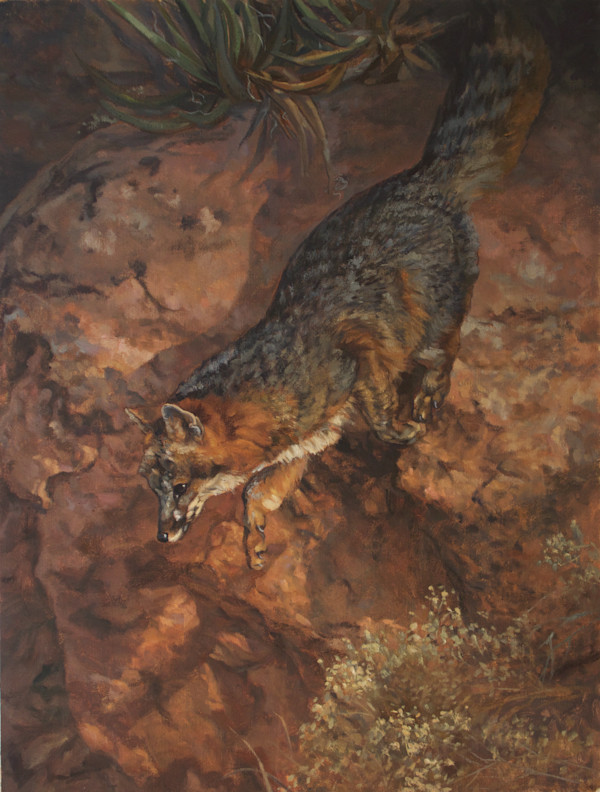Silent and Grey by Julia Rogers