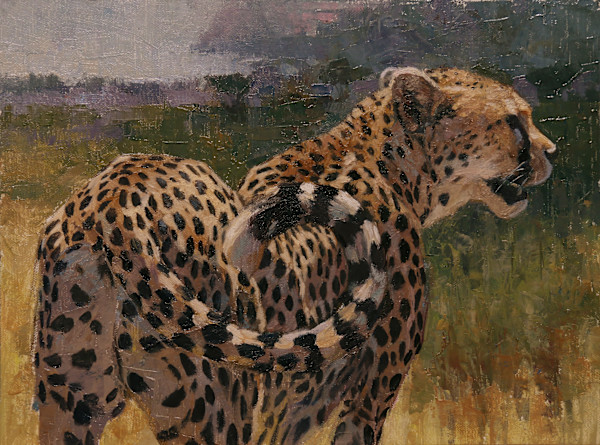 Well Spotted by Julia Rogers