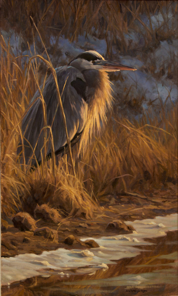 The Thaw by Julia Rogers