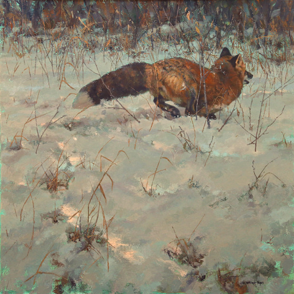 Winter Fox by Julia Rogers