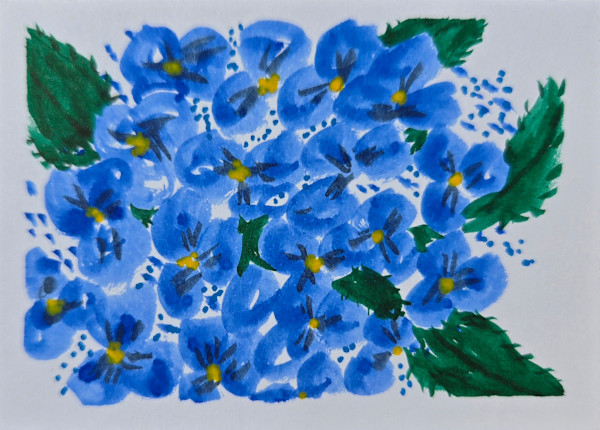 Blue Lace Hydrangea by Cynthia (Cindy) D. Cruz, Image 1.