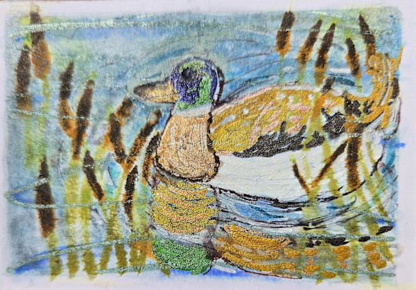 Duck and Cattails by Cynthia (Cindy) D. Cruz, Image 1.