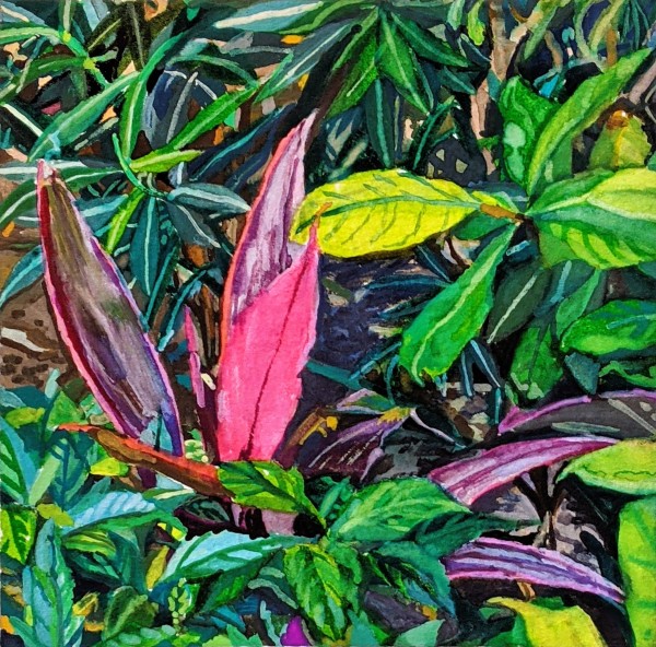 Hint of Fuchsia by Anastasia Zielinski