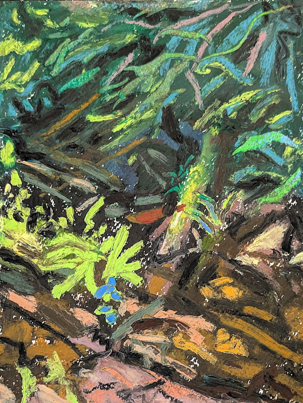 Spencer Creek by Anastasia Zielinski, Image 1.