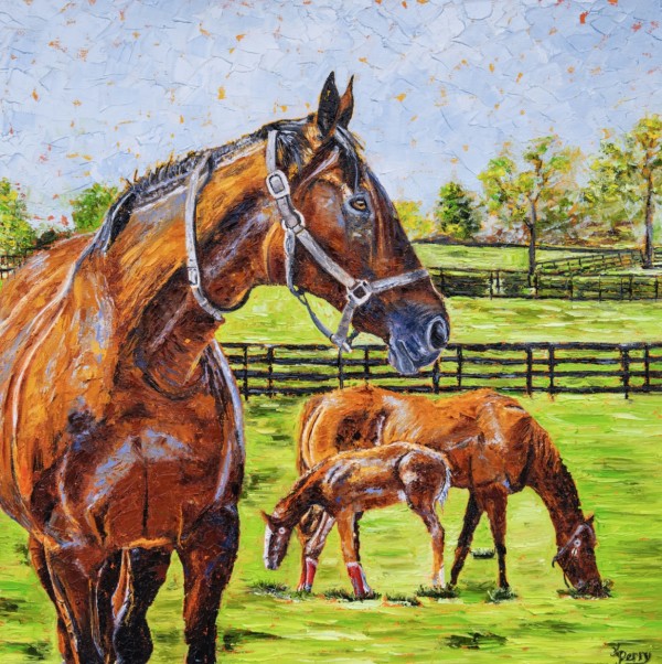 A Day at the Horse Farm by Kim Perry