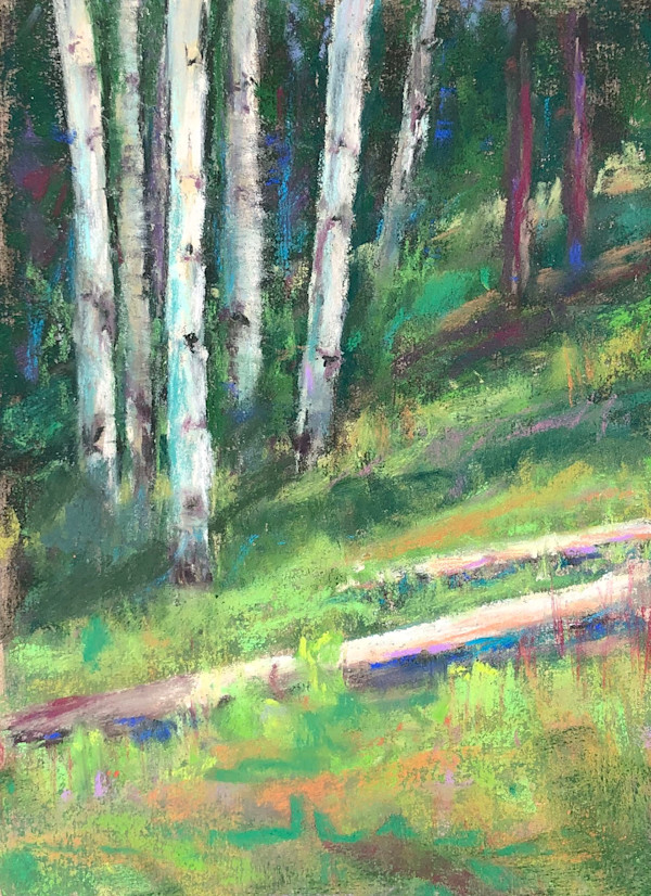 Aspens at Big Tesuque by Linda C. Wells