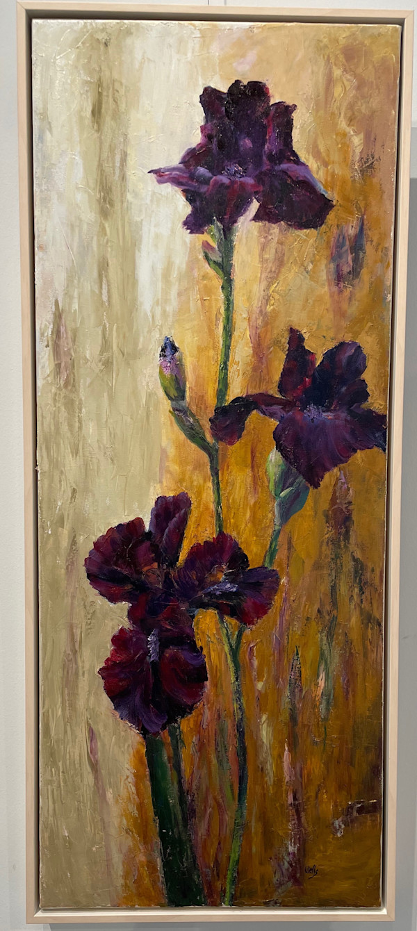Black Irises by Linda C. Wells