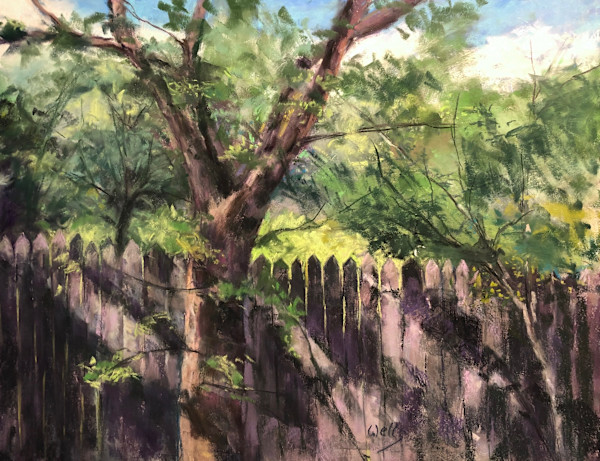 Shadow Play by Linda C. Wells