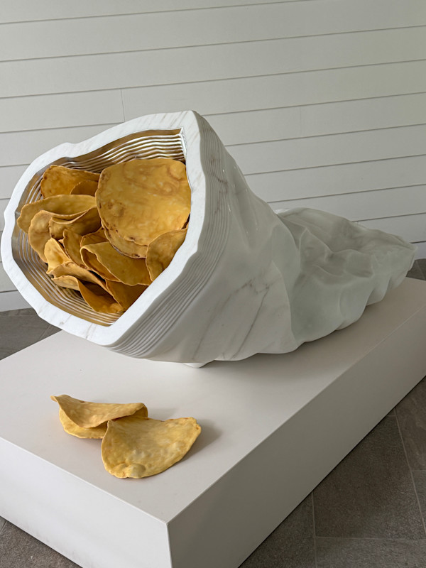 Potato Chip Bag by Robin Antar