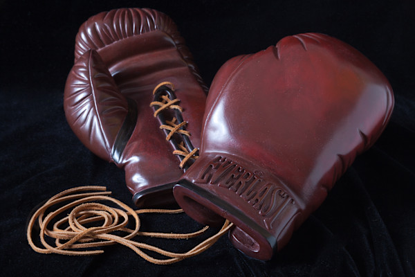 BRONZE BOXING GLOVES AP by Robin Antar