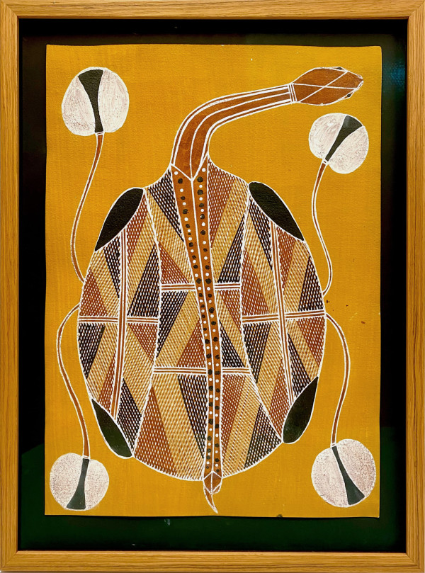 Womardu , Long Neck Turtle - Yolngy Tribe Art by Attb: Marika Family Artist