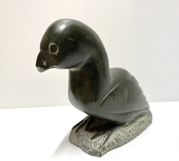 Little Auk - Inuit Sculpture by Noah TUKI (1925-1990) — E9-1771