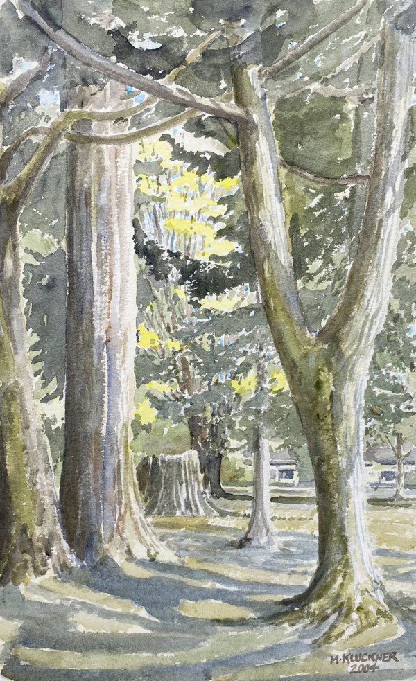 Trees in Maple Grove Park by Michael Kluckner