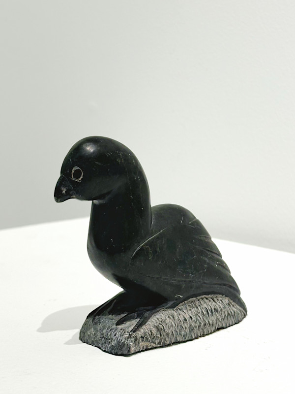 Little Auk - Inuit Sculpture by Noah TUKI (1925-1990) — E9-1771
