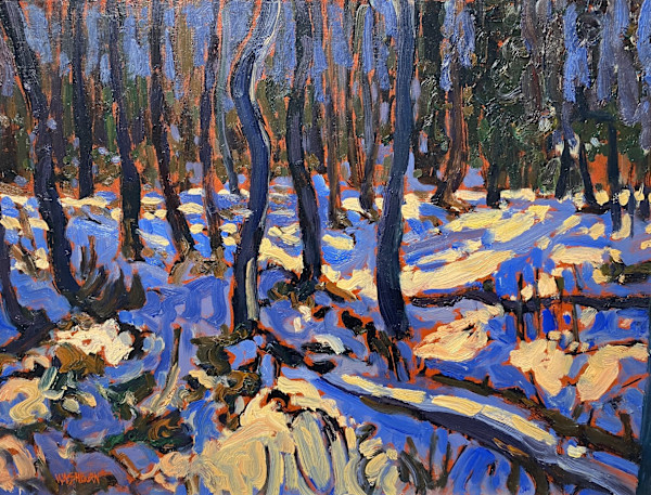 Shadows on Snowfall by Lawrence Washburn