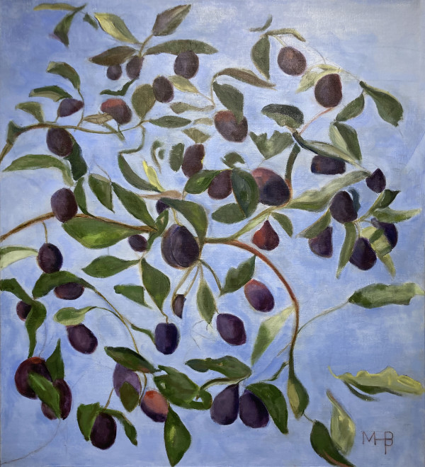 The Plums Become Prunes by Marie H Becker