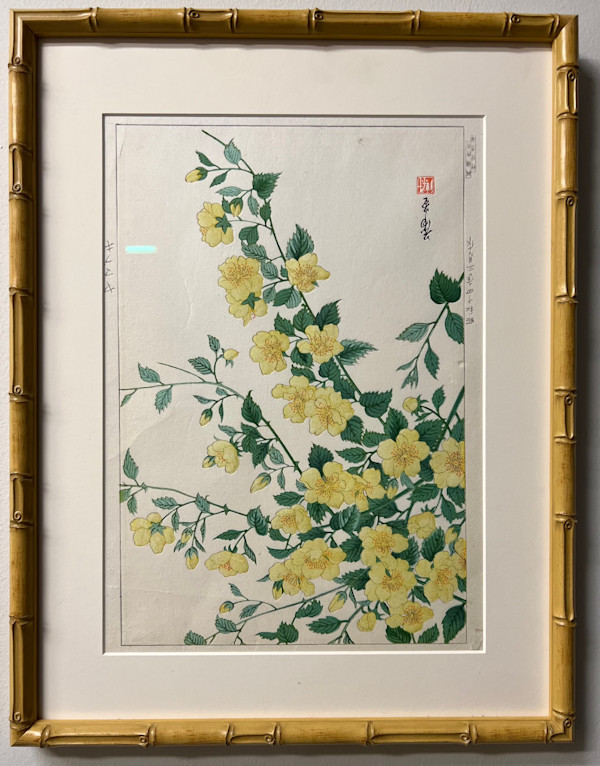Yellow Blossoms by Nishimura Hoda
