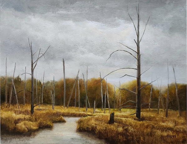 Breaking Light on John's Bog by Nelia Harper French