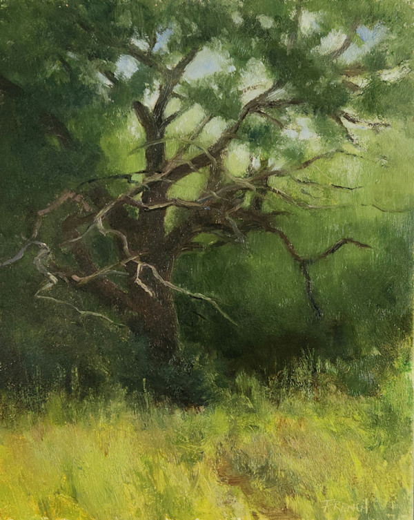 Twisted Oak by Nelia Harper French, Image 3.