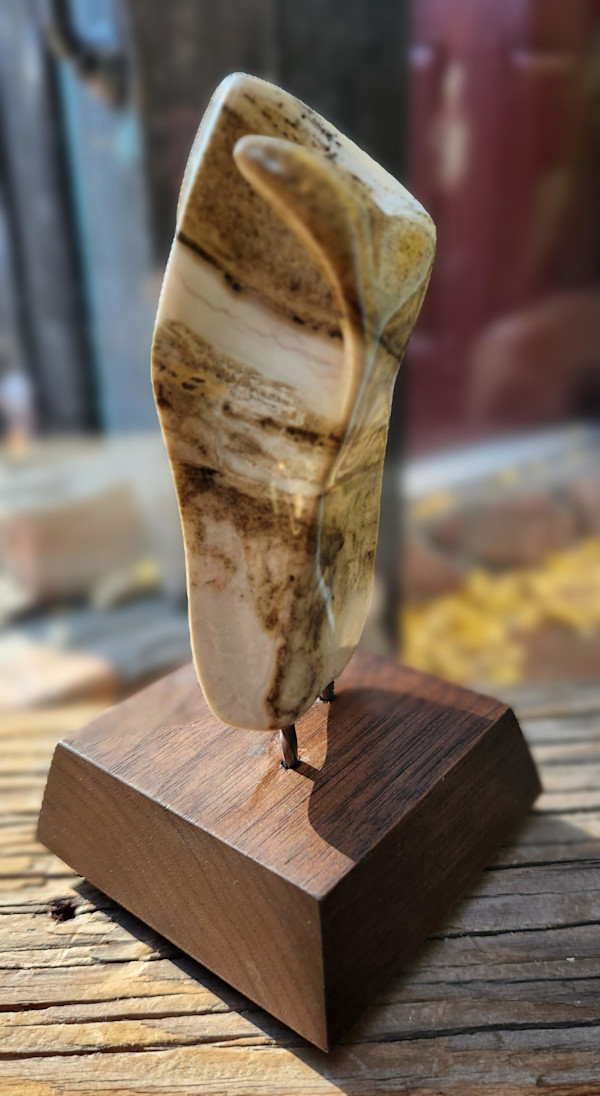 Embrace by Frances A Listou