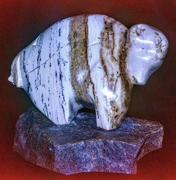 Laurie's Buffalo by Frances A Listou